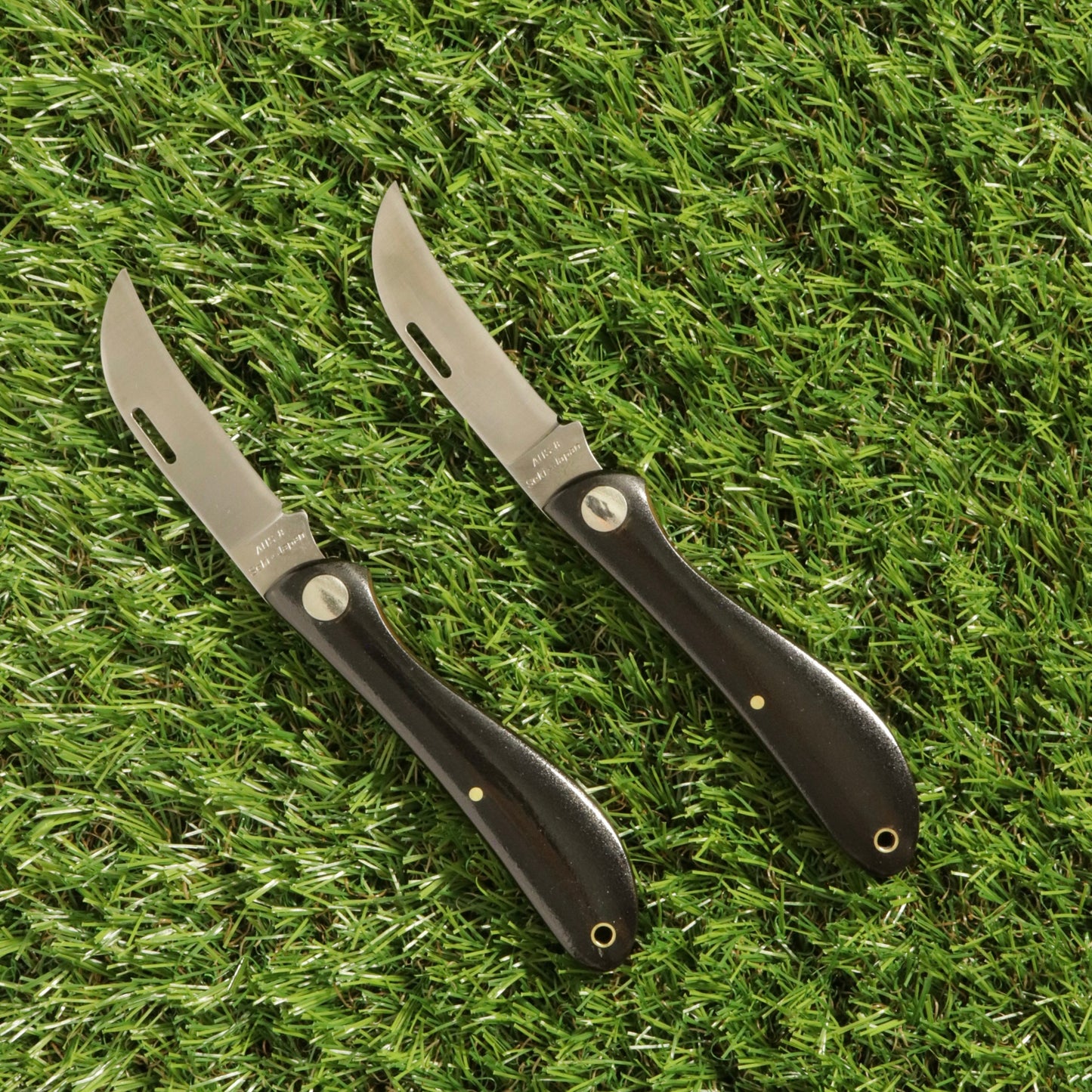 Harvest Knife / Mushroom Hunting Knife